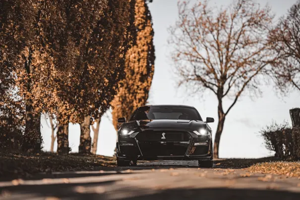 Fbet Casino Aplicación Android/iOS